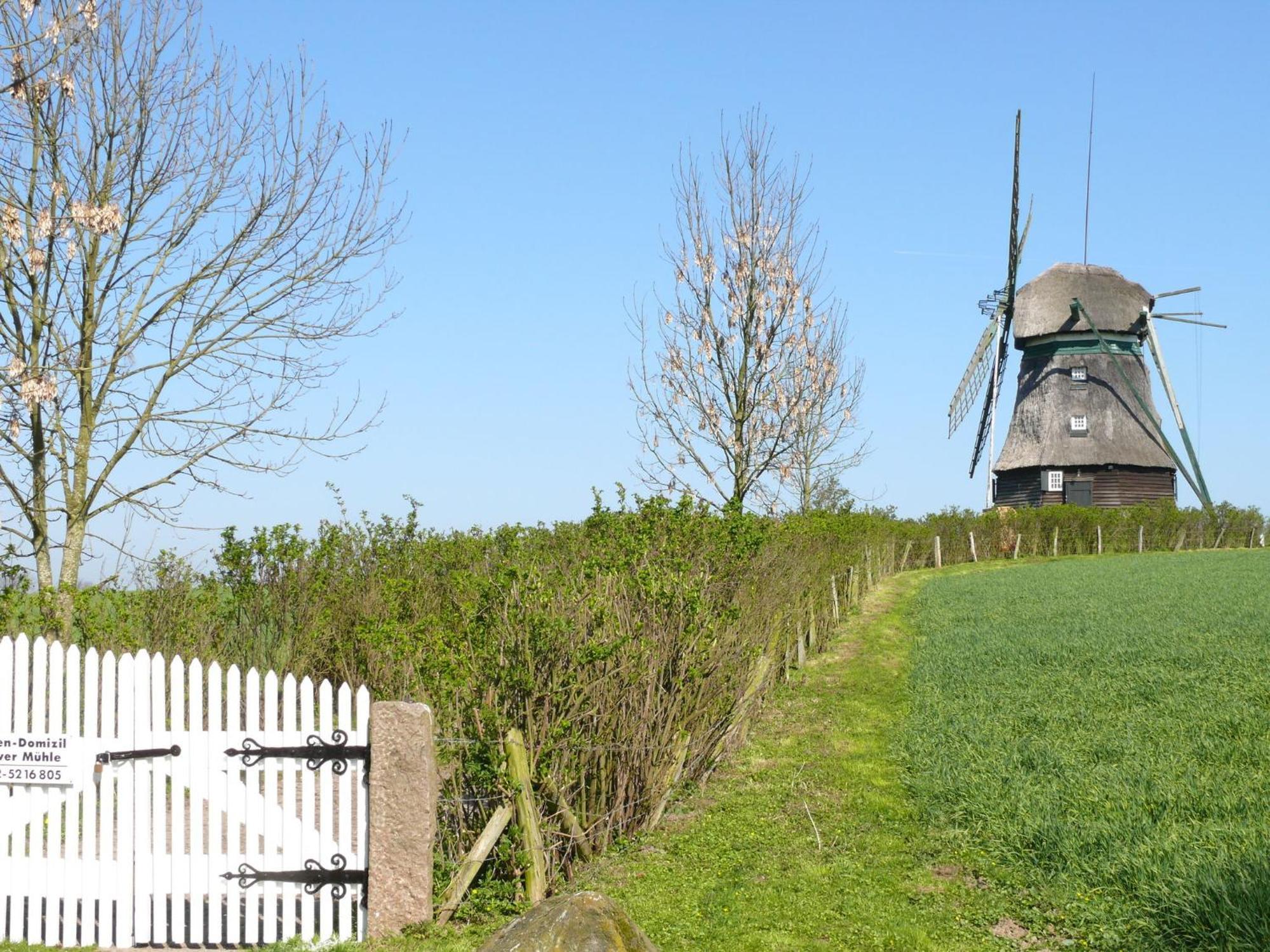 Beautiful Authentic Mill Close To The Beach Wangels 外观 照片
